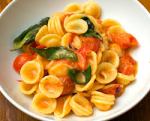 orecchiette