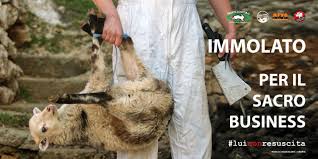 Victimized for the sacred business